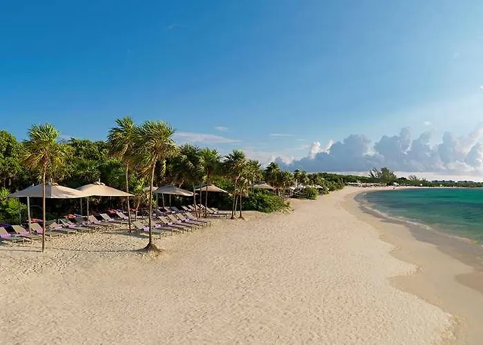 The Reserve Paradisus (adults Only) Hotel Playa del Carmen