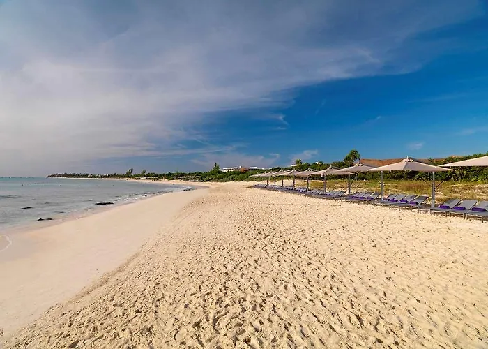 The Reserve Paradisus (adults Only) Hotel